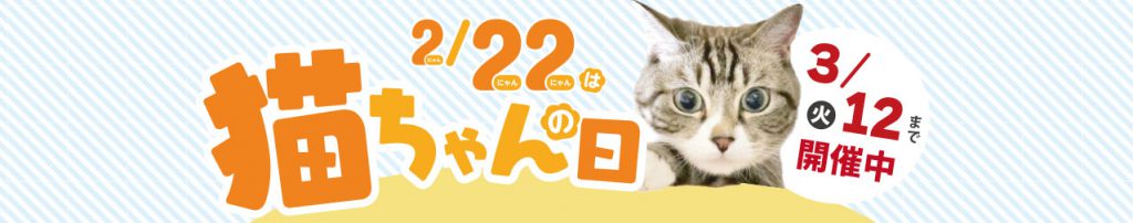 ネコちゃんの日ペットフェア2024_Webチラシ_2.10-3.12