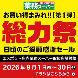 ESP_line1040.300 9th_2026