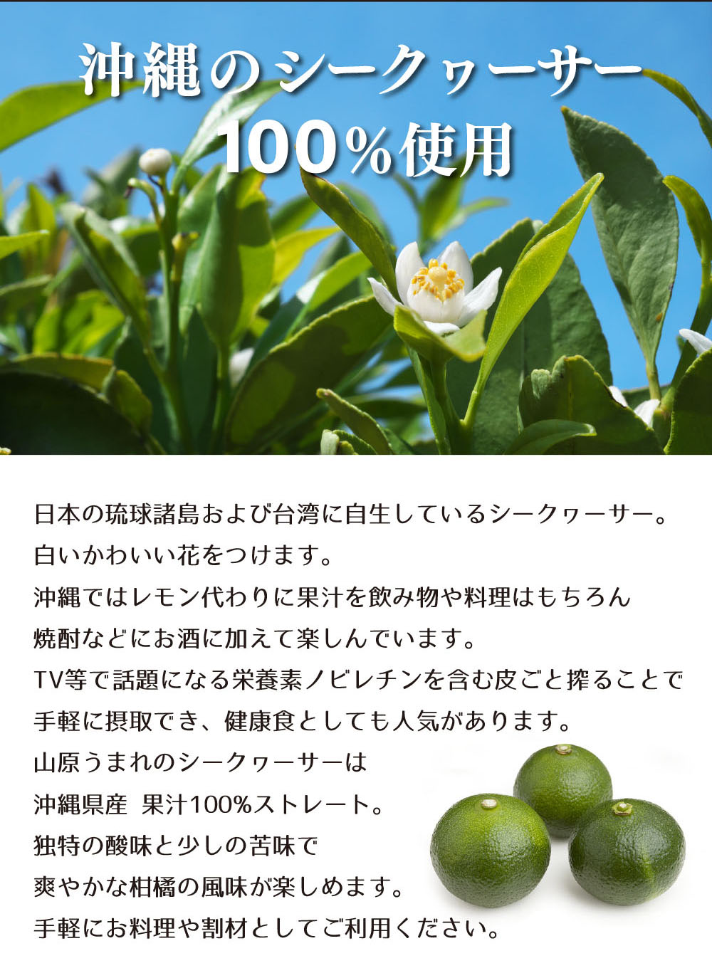 山原うまれのシークヮーサー