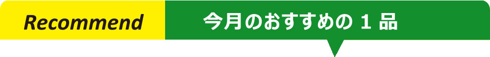 宝製菓  塩バタかまん　