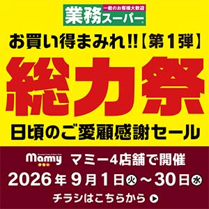 MY_line1040.300 9th_2026