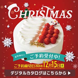 正方形_クリスマス1040_2026